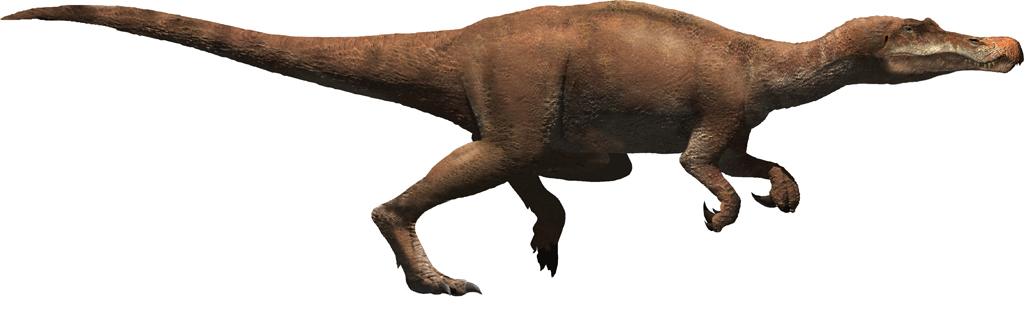 Recreació de l’aspecte en vida d’un espinosàurid barioniquí (Oscar Sanisidro / Institut Català de Paleontologia Miquel Crusafont). 
