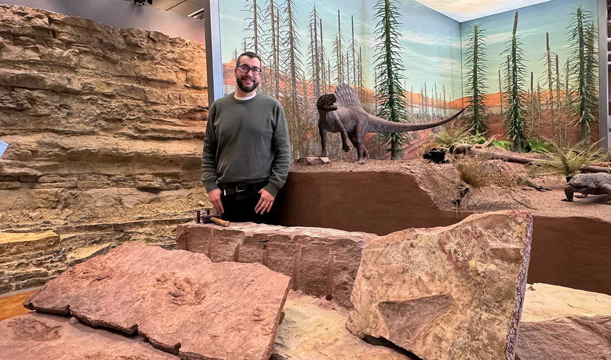 L'investigador Eudald Mujal en una zona que recrea l'hàbitat triàsic del Buntsandstein al Museu de Stuttgart (foto: M. Rech / SMNS)