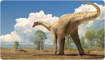 Reconstrucció d'un titanosaure