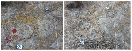Detalle de la zona de huevos de dinosaurio de la zona del Mirador antes (izquierda) y después (derecha) del ataque (Jordi Galindo / Àngel Galobart)