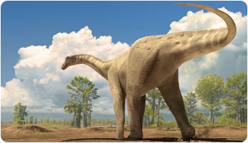 Reconstrucció titanosaure