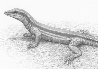 Reconstrucción de Pedrerasauris latifrontalis (Mauricio Antón / ICP)