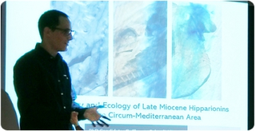 La ‘life-history’ dels èquids del Miocè és objecte d’una nova tesi doctoral a l’ICP