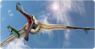 Recreación del aspecto en vida de Tropeognathus mesembrinus, el pterosaurio anhangüèrid más gordo conocido