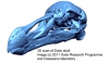 L’escaneig 3D revela secrets amagats del dodo