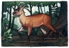 Recreació d'un mascle adult d'Amphimoschus en el seu hàbitat. Il·lustració de Flavia Strani (Universitat de Saragossa).