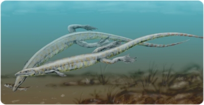 Recreació de l'aspecte en vida de dos Pleurosaurus goldfussi, un esfenodont del Juràssic superior d'Alemanya i França.