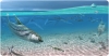 Recreació del paleoambient marí de Catalunya durant el Triàsic (Oscar Sanisidro / Institut Català de Paleontologia Miquel Crusafont).