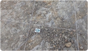 Dañado el yacimiento más importante de nidadas de dinosaurio de Europa