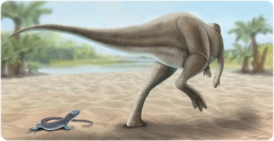 Recreació de l'aspecte en vida de Calvarius rapidus. Roc Olivé / © Institut Català de Paleontologia Miquel Crusafont. Amb la col·laboració de la Fundación Española para la Ciencia y la Tecnología – Ministerio de Economía, Industria y Competitividad.