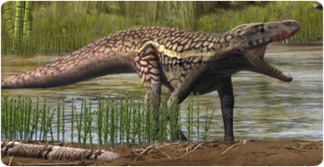 Descobreixen petjades d’una espècie desconeguda de rèptil que va viure fa 247 milions d’anys