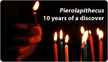Pierolapithecus: 10 years of a discover
