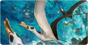 Iberodactylus, the biggest pterosaur discovered in the Iberian Peninsula