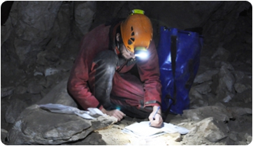 L’aventura d’excavar a la Cova de la Pedrera: espelologia i paleontologia es donen la mà