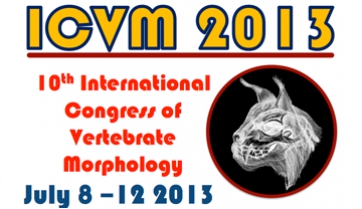 Meike Köhler impartirà la conferència plenària del ICVM 2013