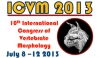Meike Köhler impartirà la conferència plenària del ICVM 2013