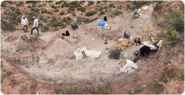 L'equip investigador del Instituto de Investigación en Paleobiología y Geología (IIPG, CONICET-UNRN), The Chinese University of Hong Kong (Hong Kong, China), Institut Català de Paleontologia Miquel Crusafont (Sabadell), Museo Egidio Feruglio (Trelew, Argentina) i el Museo Ernesto Bachmann (Villa el Chocón, Argentina) i de la Universidad Nacional de Río Negro (UNRN) excavant al jaciment de El Valle de los Titanos.