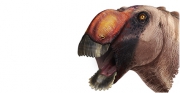 Identificada una estranya nova espècie de dinosaure de bec d’ànec