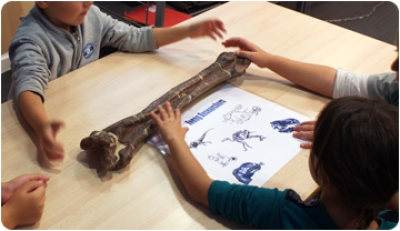 Un estiu “dinosàuric” a l’abast de les famílies