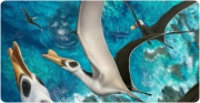 Iberodactylus, el pterosaure més gran descobert a la península Ibèrica