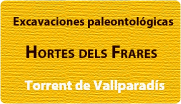 L’ICP inicia les excavacions paleontològiques d’un nou jaciment al Torrent de Vallparadís, Terrassa