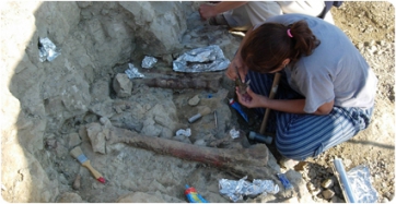 Most complete study on Europe's greatest hadrosaur site published