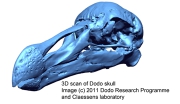 3D laser scan reveals hidden secrets of the dodo