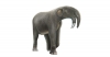 Artwork of the life appearance of Deinotherium giganteum. Roc Olivé / © Institut Català de Paleontologia Miquel Crusafont. With the collaboration of Fundación Española para la Ciencia y la Tecnología – Ministerio de Economía, Industria y Competitividad.