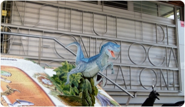Sant Jordi torna carregat de llibres de paleontologia i premis literaris