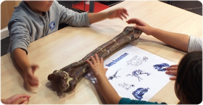 Imatge de taller familiar sobre dinosaures al Museu de l'ICP