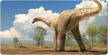 Stress affected the reproduction of the last European titanosaurs