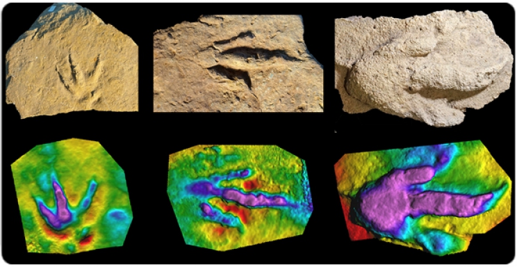 Descritas nuevas huellas fósiles de dinosaurios y cocodrilos jurásicos en Portugal
