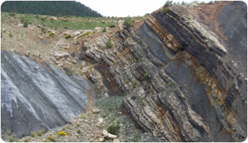 Noves dades sobre l’origen del carbó del Berguedà